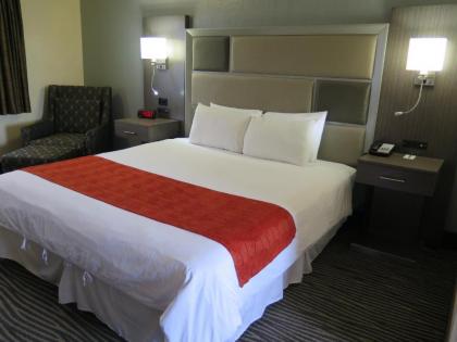 Bonanza Inn and Suites - image 15