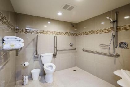 Bonanza Inn and Suites - image 2