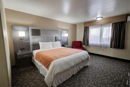 Bonanza Inn and Suites - image 3