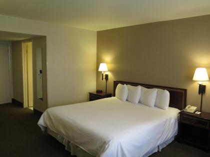 Bonanza Inn and Suites - image 4