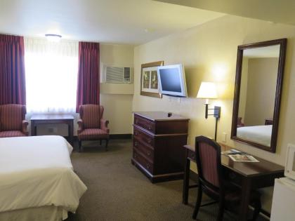 Bonanza Inn and Suites - image 5