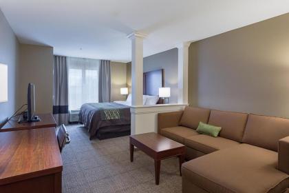 Comfort Inn & Suites Zachary - image 9