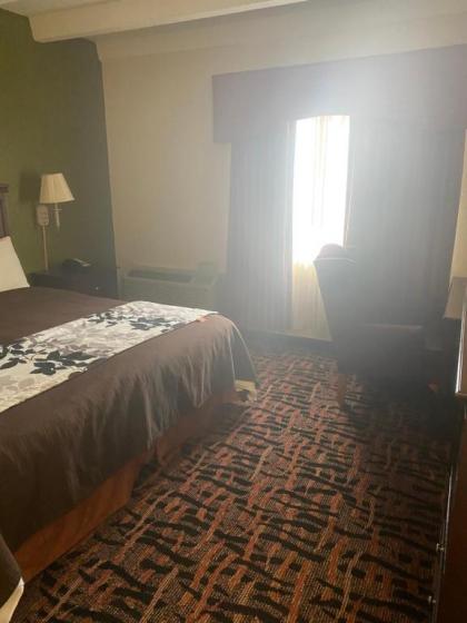 Rodeway Inn - image 11