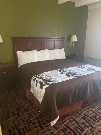 Rodeway Inn - image 12