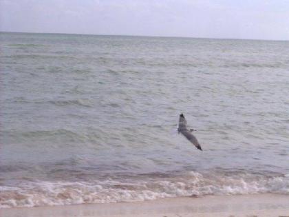 Coconut Cay Resort - image 14