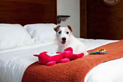 Costa d'Este Beach Resort & Spa - image 5