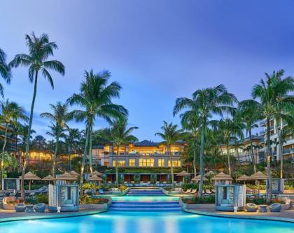 The Ritz-Carlton Maui Kapalua - image 3