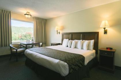 Town & Country Inn & Resort - image 15