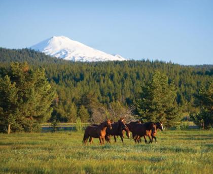 Sunriver Resort - image 2