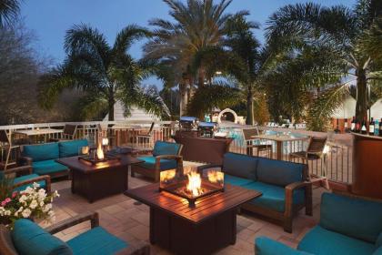 Hilton Grand Vacations at SeaWorld - image 2