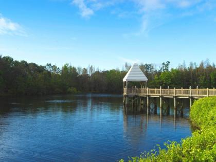 Hilton Grand Vacations at SeaWorld - image 8