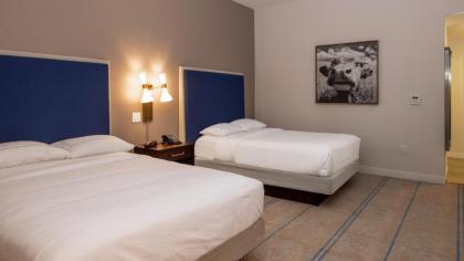 Hilton Austin Airport - image 4