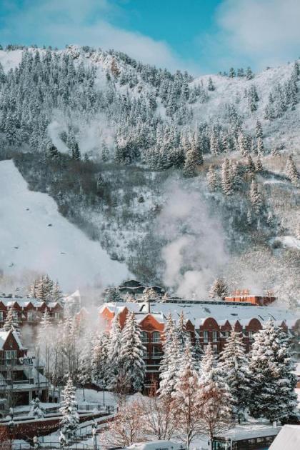 St. Regis Aspen Resort - image 13