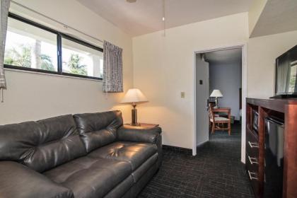 The Beachcomber St. Pete Beach Resort & Hotel - image 3