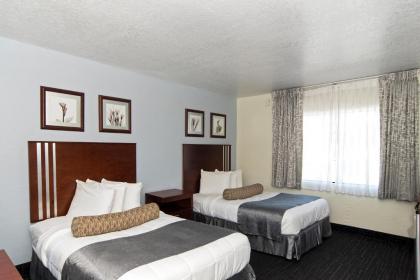 The Beachcomber St. Pete Beach Resort & Hotel - image 6