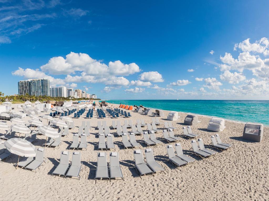 Shelborne South Beach - image 6