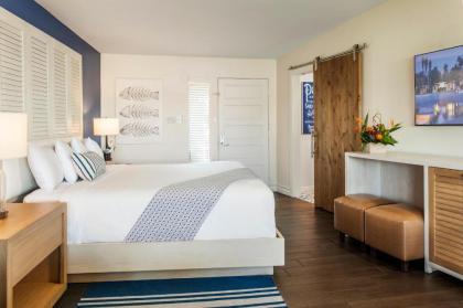 Paradise Point Resort & Spa - image 19