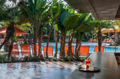 Paradise Point Resort & Spa - image 20