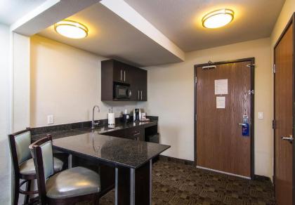 Holiday Inn Express Hotel & Suites Carlsbad Beach an IHG Hotel - image 16