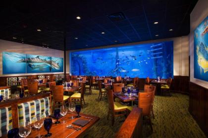 RumFish Beach Resort by TradeWinds - image 15