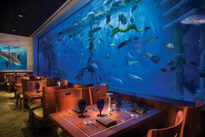 RumFish Beach Resort by TradeWinds - image 16