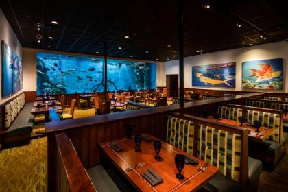 RumFish Beach Resort by TradeWinds - image 17