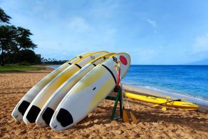 Westin Ka'anapali Ocean Resort Villas - image 7