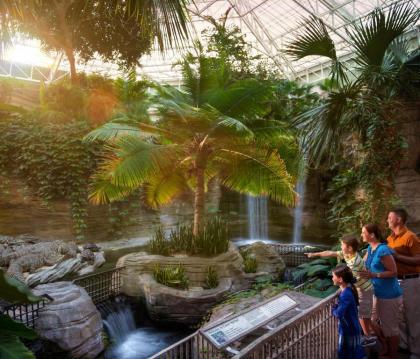 Gaylord Palms Resort & Convention Center - image 19