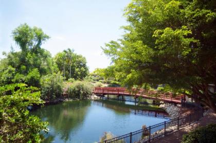 Park Shore Resort by Sunstream - image 20