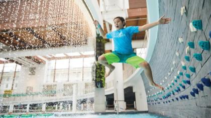 Gaylord Opryland Resort & Convention Center - image 16