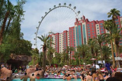 Flamingo Las Vegas Hotel & Casino - image 10