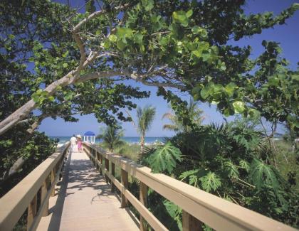 Marco Beach Ocean Resort - image 16