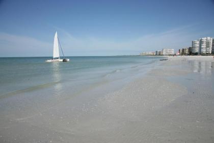 Marco Beach Ocean Resort - image 20