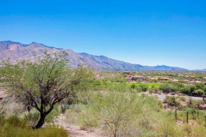 The Westin La Paloma Resort & Spa - image 18