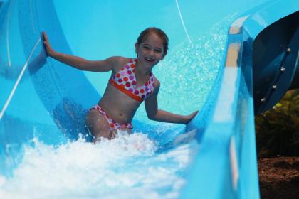 Renaissance Orlando at SeaWorld® - image 17