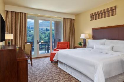 Westin Riverfront Mountain Villas - image 16