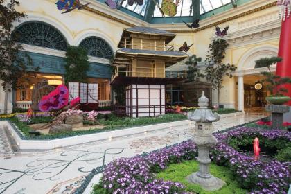 Bellagio - image 18