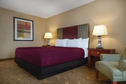Circus Circus Hotel Casino & Theme Park - image 20