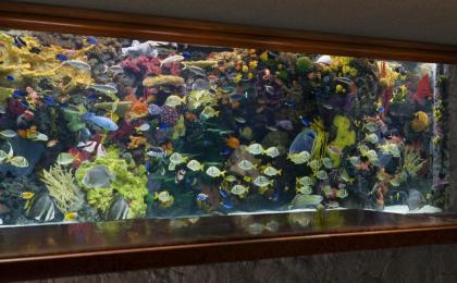 The Mirage - image 3