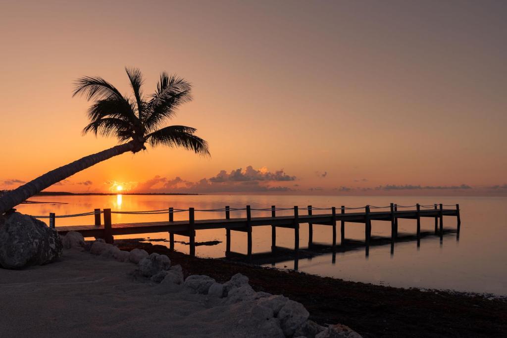 Grassy Flats Resort & Beach Club - image 5