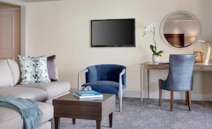 The Ritz-Carlton Laguna Niguel - image 19