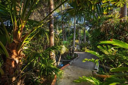 Bahia Resort Hotel - image 3