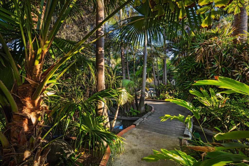 Bahia Resort Hotel - image 3