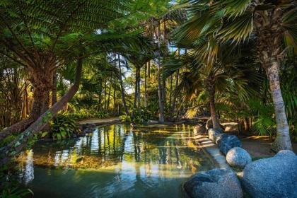 Bahia Resort Hotel - image 5