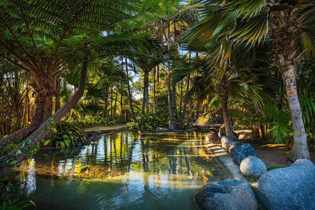 Bahia Resort Hotel - image 5