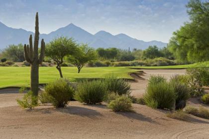 Marriott's Canyon Villas - image 5