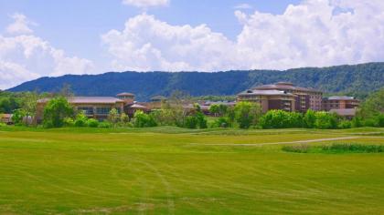 MeadowView Marriott Conference Resort and Convention Center - image 20