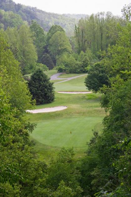 Bent Creek Golf Village By Diamond Resorts - image 2