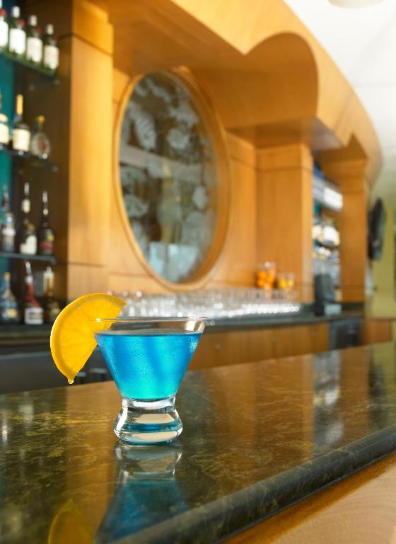 Clearwater Beach Marriott Suites on Sand Key - image 2