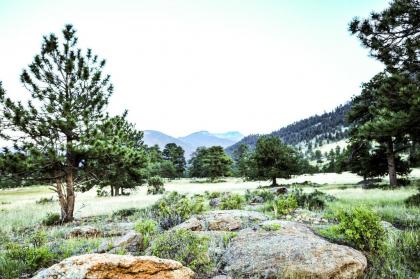 The Historic Crag's Lodge By Diamond Resorts - image 11